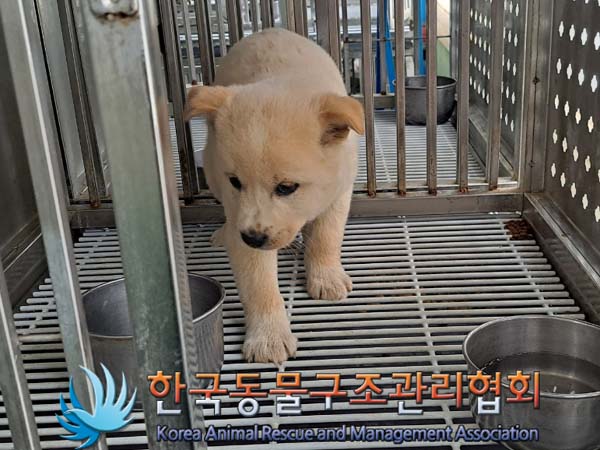 한국동물구조관리협회_441392202400120